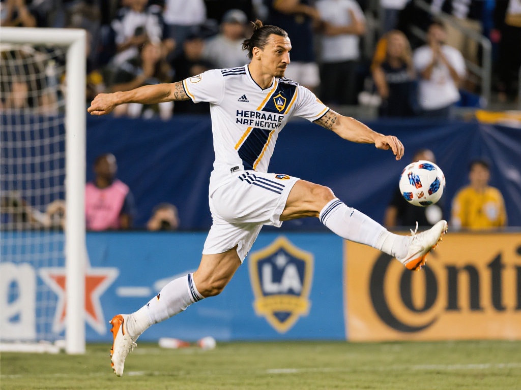 平台参与竞 平台参与竞