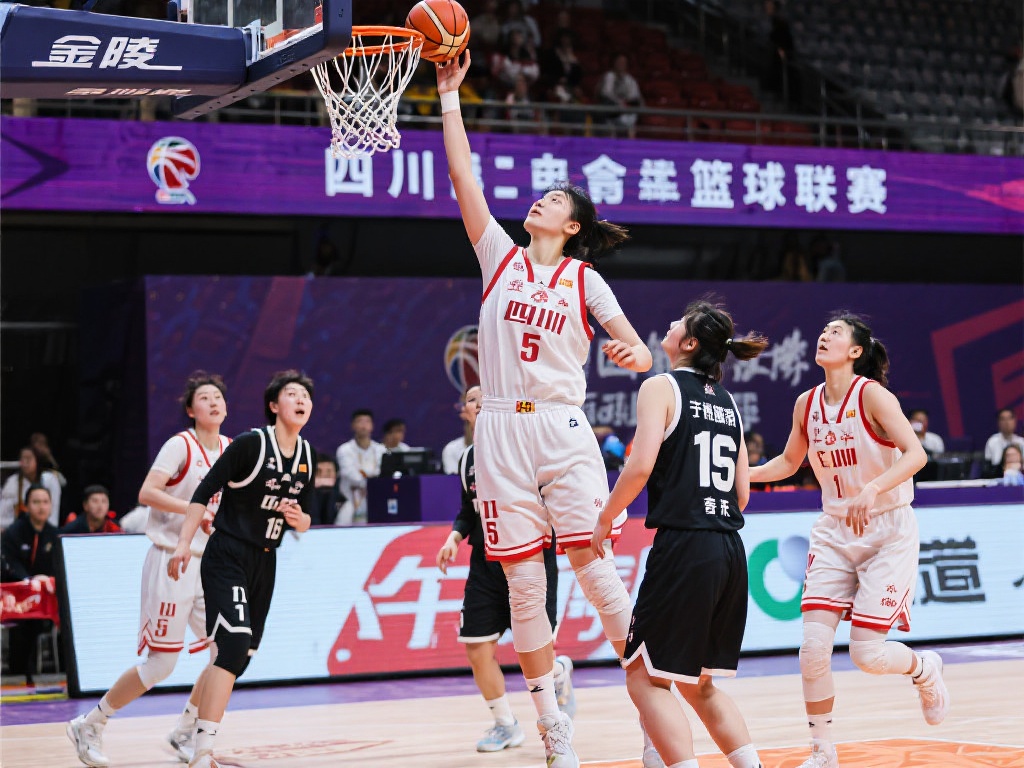 款说明都是 款说明都是